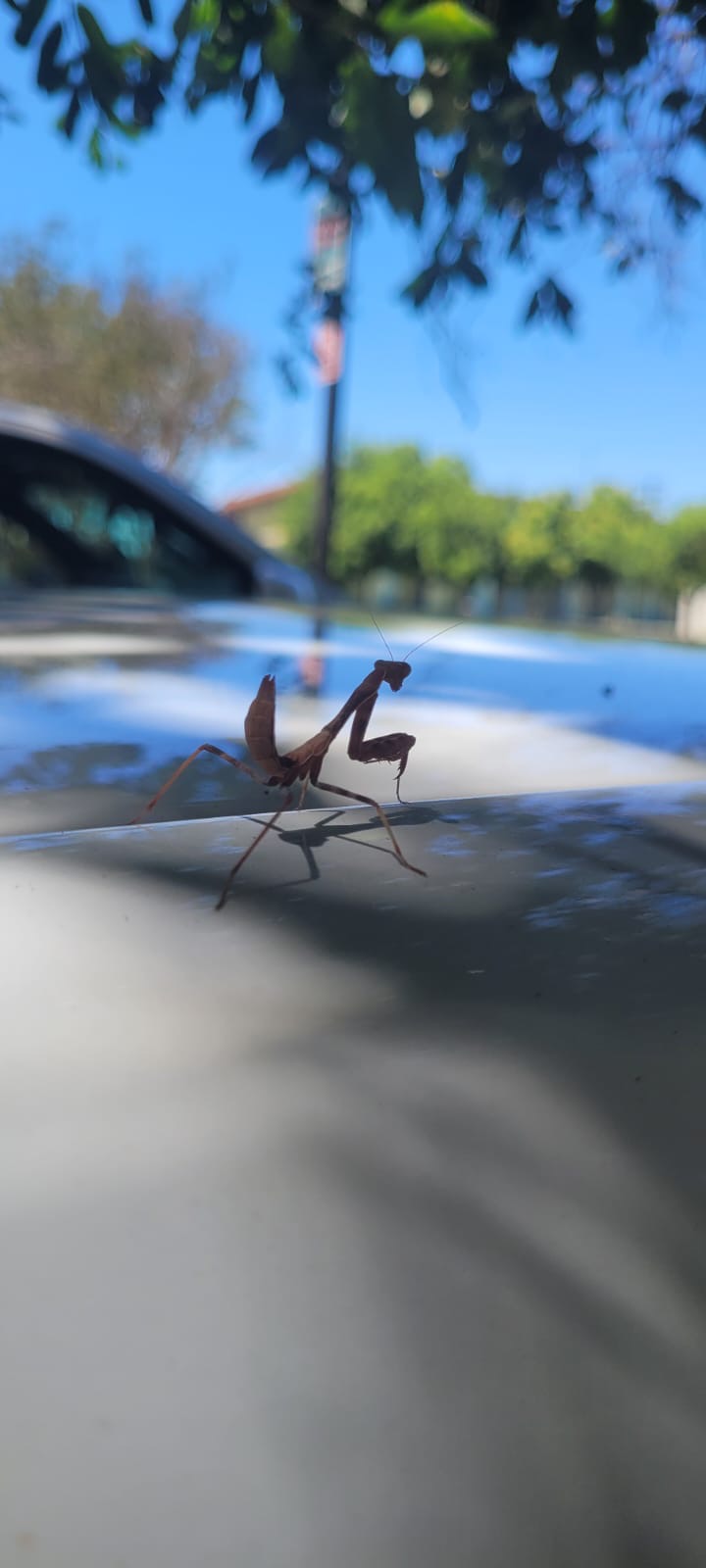 Therapist's Break Room